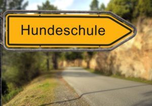 Hundeschule für den Berner Sennenhund