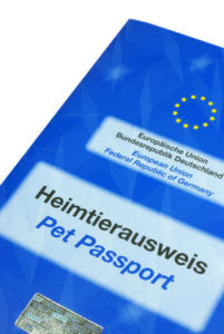 EU Heimtierausweis Berner Sennenhund