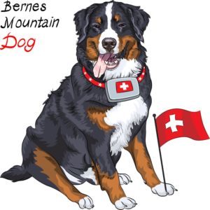 Ursprung Bern: Berner Sennenhund Ursprung Bern: Berner Sennenhund