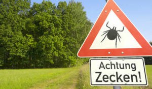 Zecken Warnschild