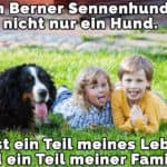 Zwei Kinder und ihr schöne Berner Sennenhund auf dem Rasen liegt