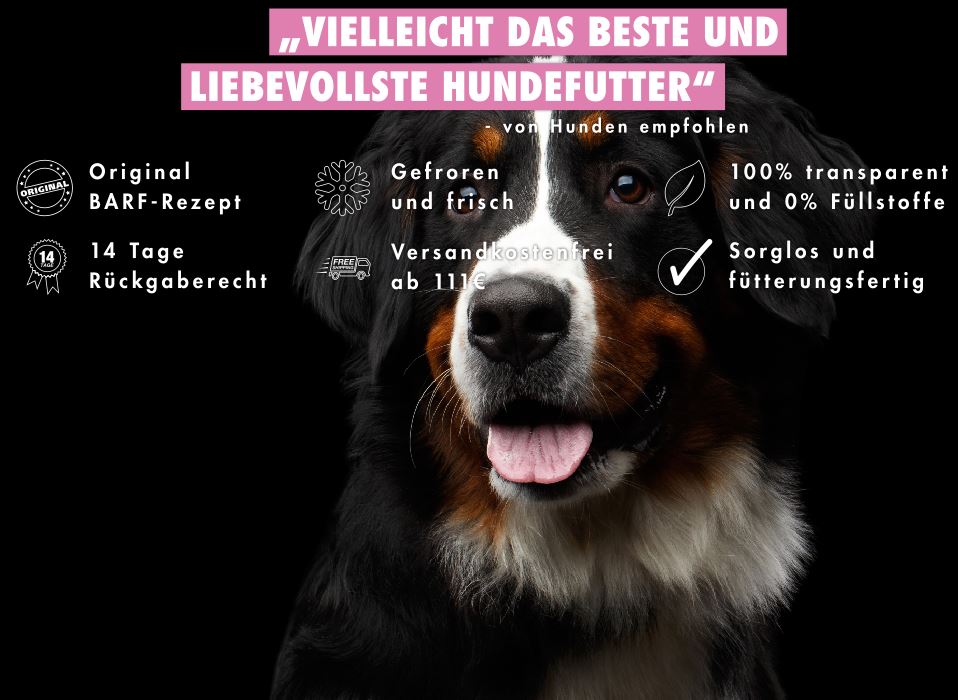 Einfache Art den Berner Sennenhund zu barfen