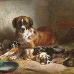 Berner Sennenhund Herkunft, Ursprung und Geschichte