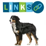 Interessante Links im Internet zur Hunderasse Berner Sennenhund