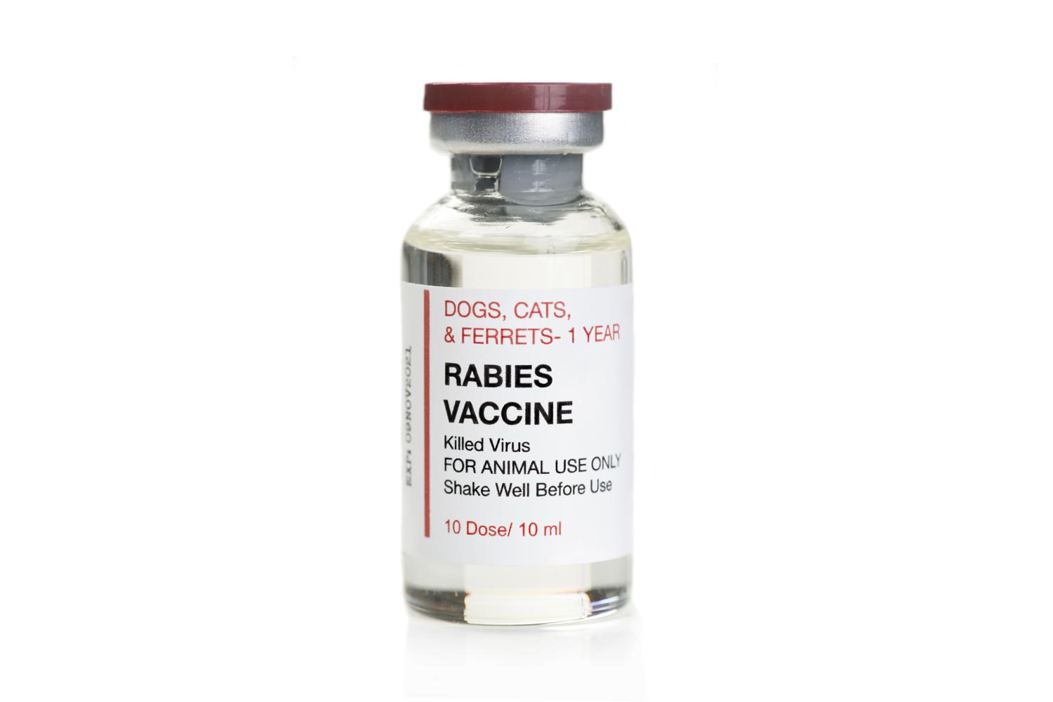 Tollwut Impfung