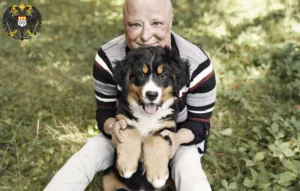 Mehr über den Artikel erfahren Berner Sennenhund Züchter und Welpen in Köln