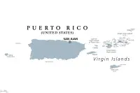 Berner Sennenhund Züchter in Puerto Rico,Estado Libre Asociado de Puerto Rico Berner Sennenhund Züchter in Puerto Rico,Estado Libre Asociado de Puerto Rico