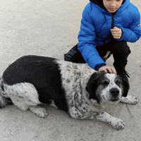 10 Jährige Minna sucht DRINGEND Endplatz!