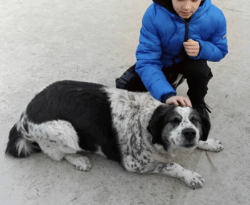10 Jährige Minna sucht DRINGEND Endplatz!