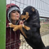 LILLI - geb. 03/2024 - ca. 40 cm