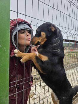 LILLI - geb. 03/2024 - ca. 40 cm