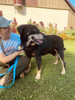 Kaukas: Rüde • geb.ca. 2015-2017 • 58cm • 32kg