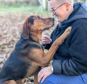 💔Wer hat ein Zuhause für den traurigen BURAN💔