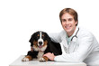 Dog and smiling veterinarian